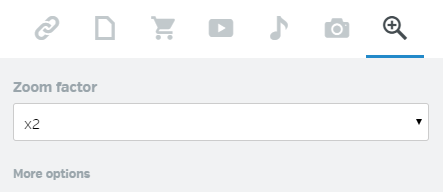 Zoom_window_EN.png