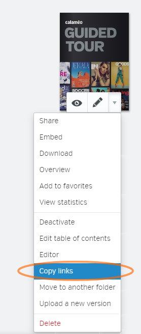 Copy_links_EN.png