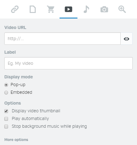 Video_window_EN.png