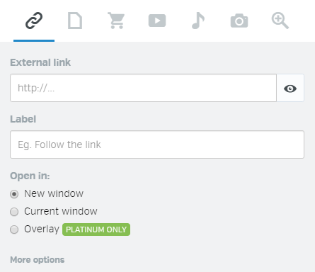 Link_window_EN.png