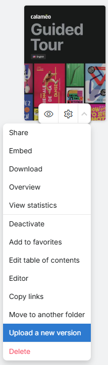 UpdatePublication-Access-EN.png