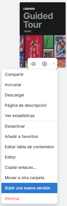 UpdatePublication-Access-ES.png