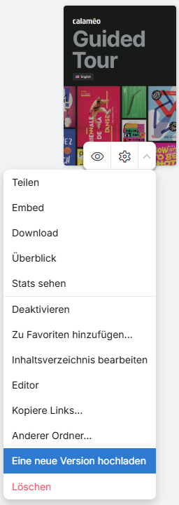 UpdatePublication-Access-DE.png