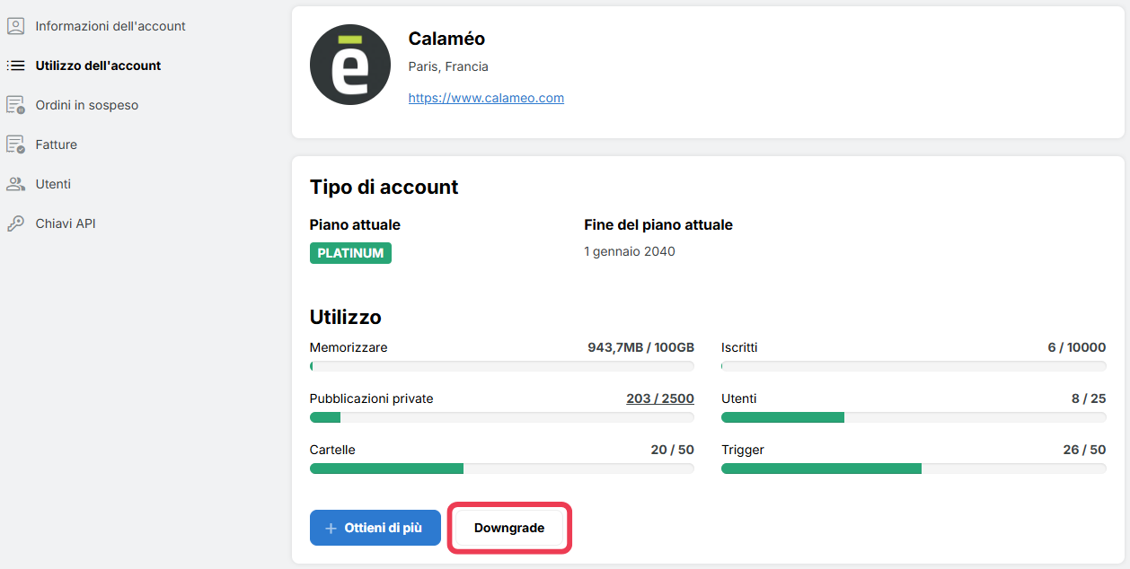 AccountUsage-IT.png