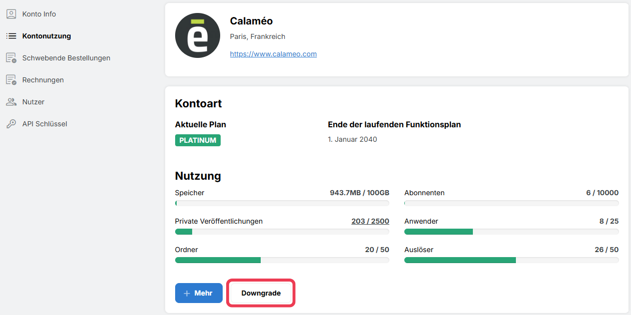 AccountUsage-DE.png
