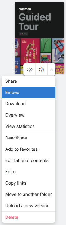 Embed-Access-EN.png