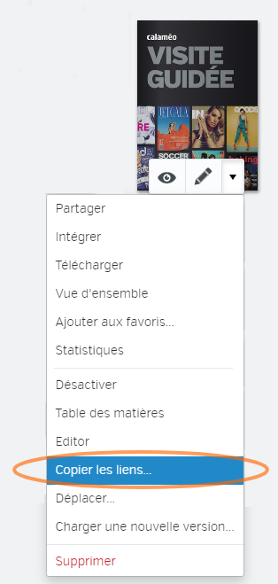 Copy_links_FR.png