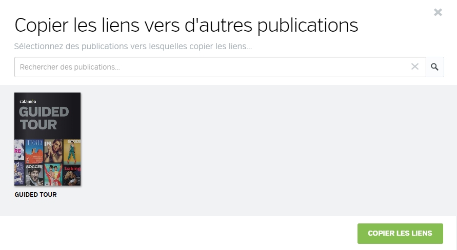 Copy_links_to_FR.png