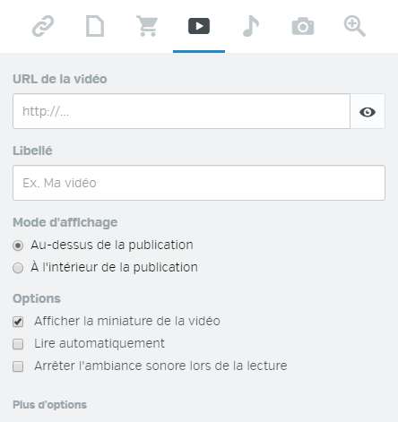 Video_window_FR.png
