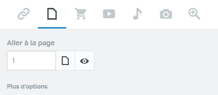 Internal_link_window_FR.png