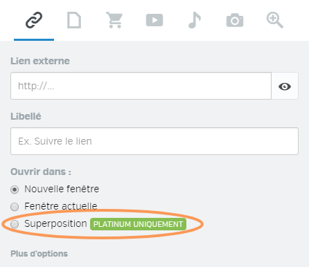 Link_window_overlay_FR.png