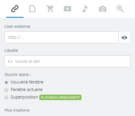 Link_window_FR.png