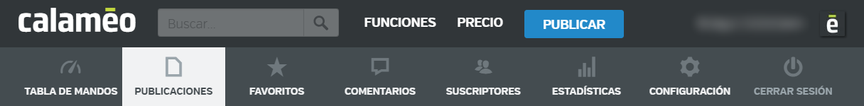 Publications_tab_ES.png