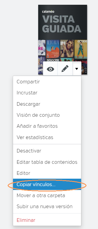 Copy_links_ES.png